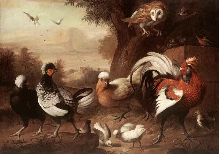 Jakob Bogdani Fowls and Owl